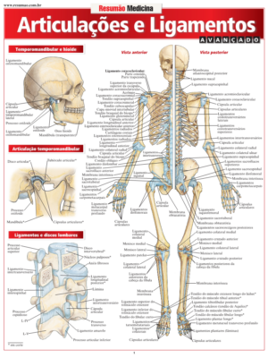Articulações & Ligamentos Avançado