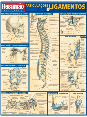 Articulações & Ligamentos