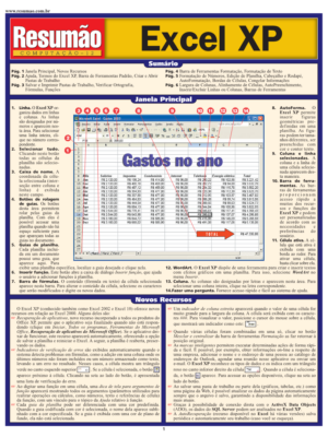 Excel XP