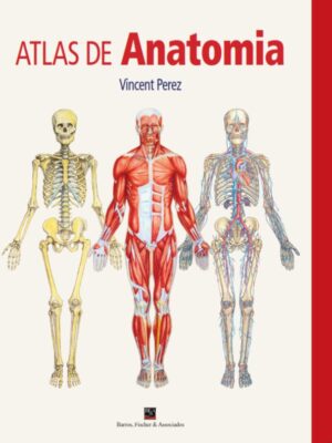 Atlas de Anatomia