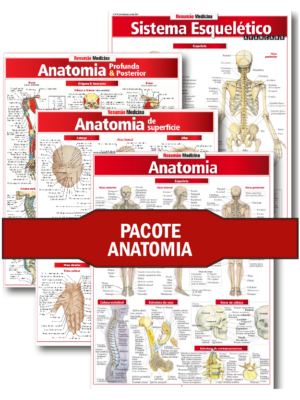 Pacote Anatomia